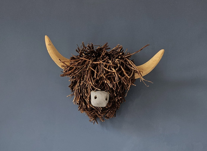 Highland Cow
